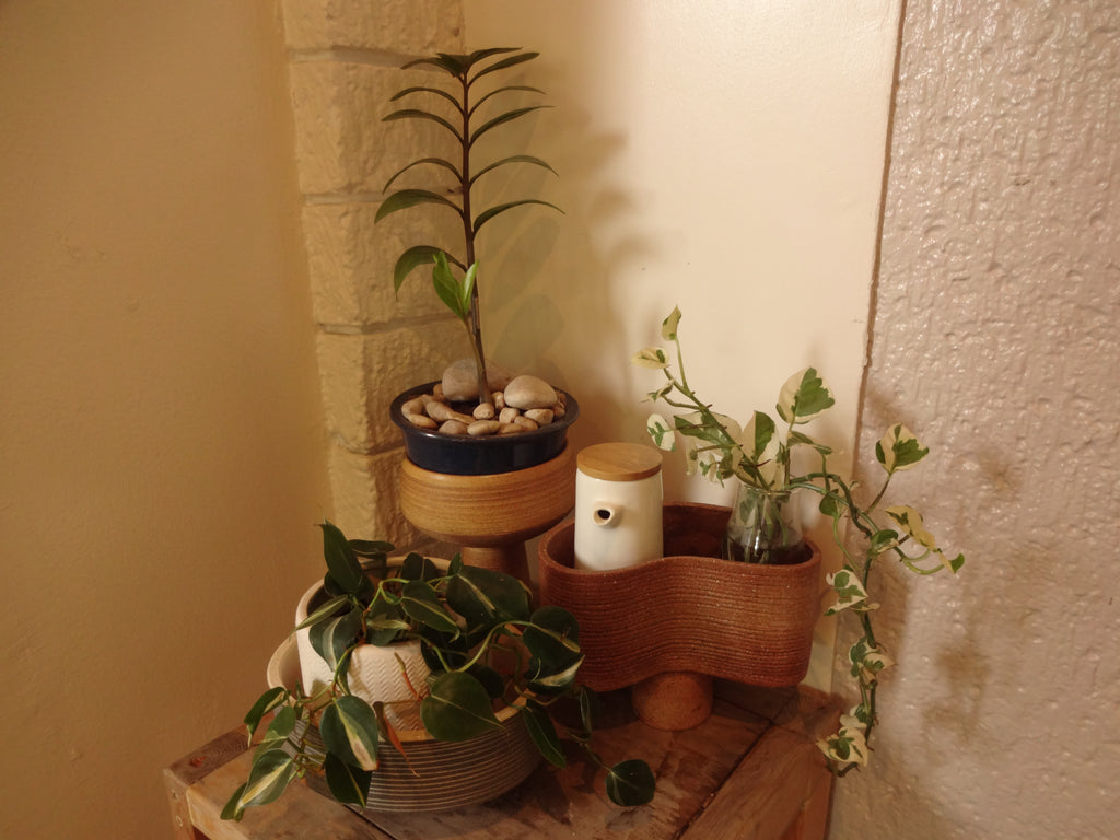 Sony Cybershot WX200