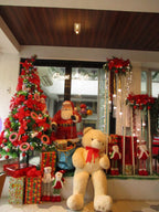 Canon IXY 200/PowerShot ELPH 185