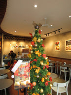 Canon IXY 170