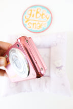 Samsung DV100