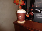 Sony Cybershot WX200