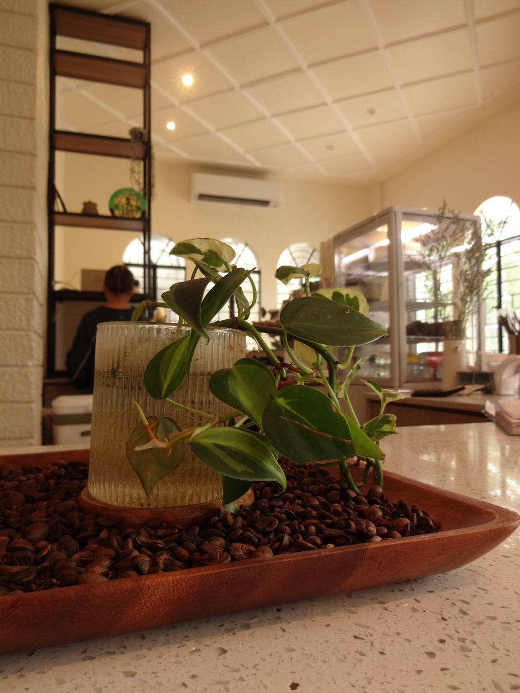 Sony Cybershot WX200