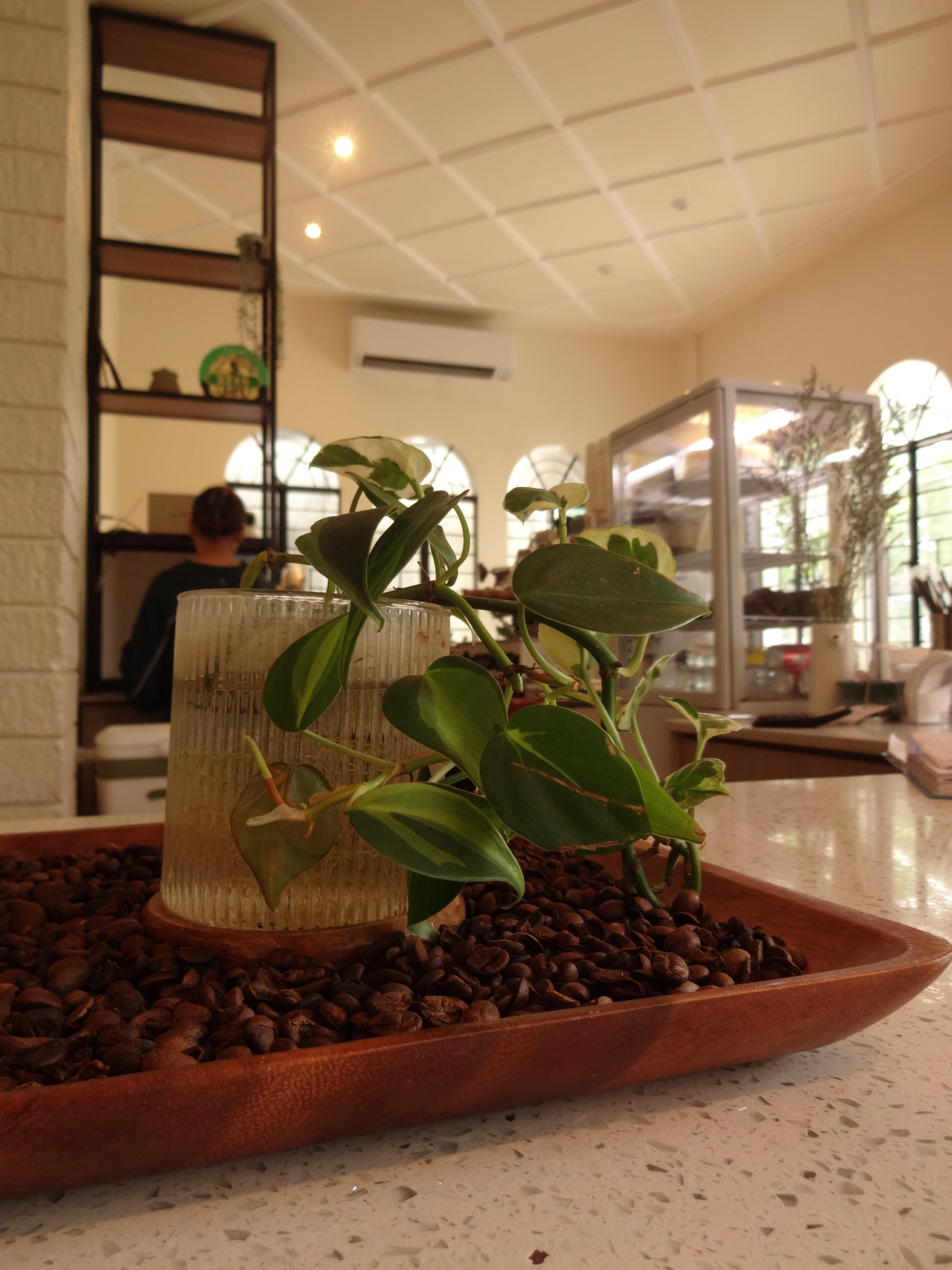 Sony Cybershot WX200