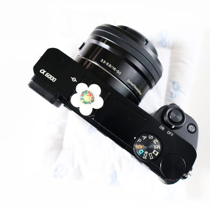 Sony α6000 Mirrorless Camera (Body + 16-50mm Power Zoom Lens + 50mm f/1.8 OSS (Portrait Lens)
