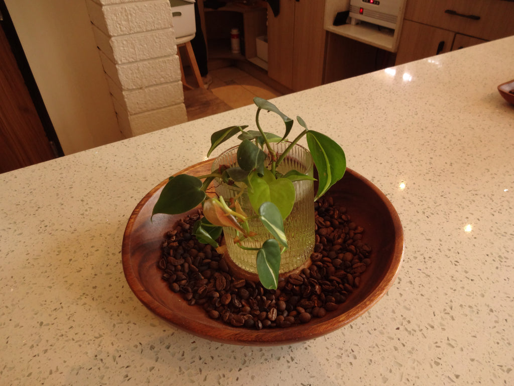 Sony Cybershot WX200