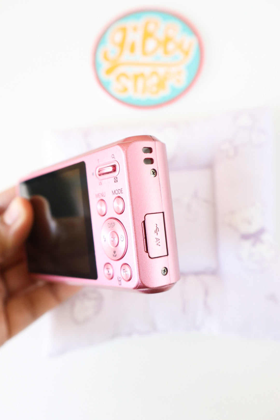 Samsung DV100