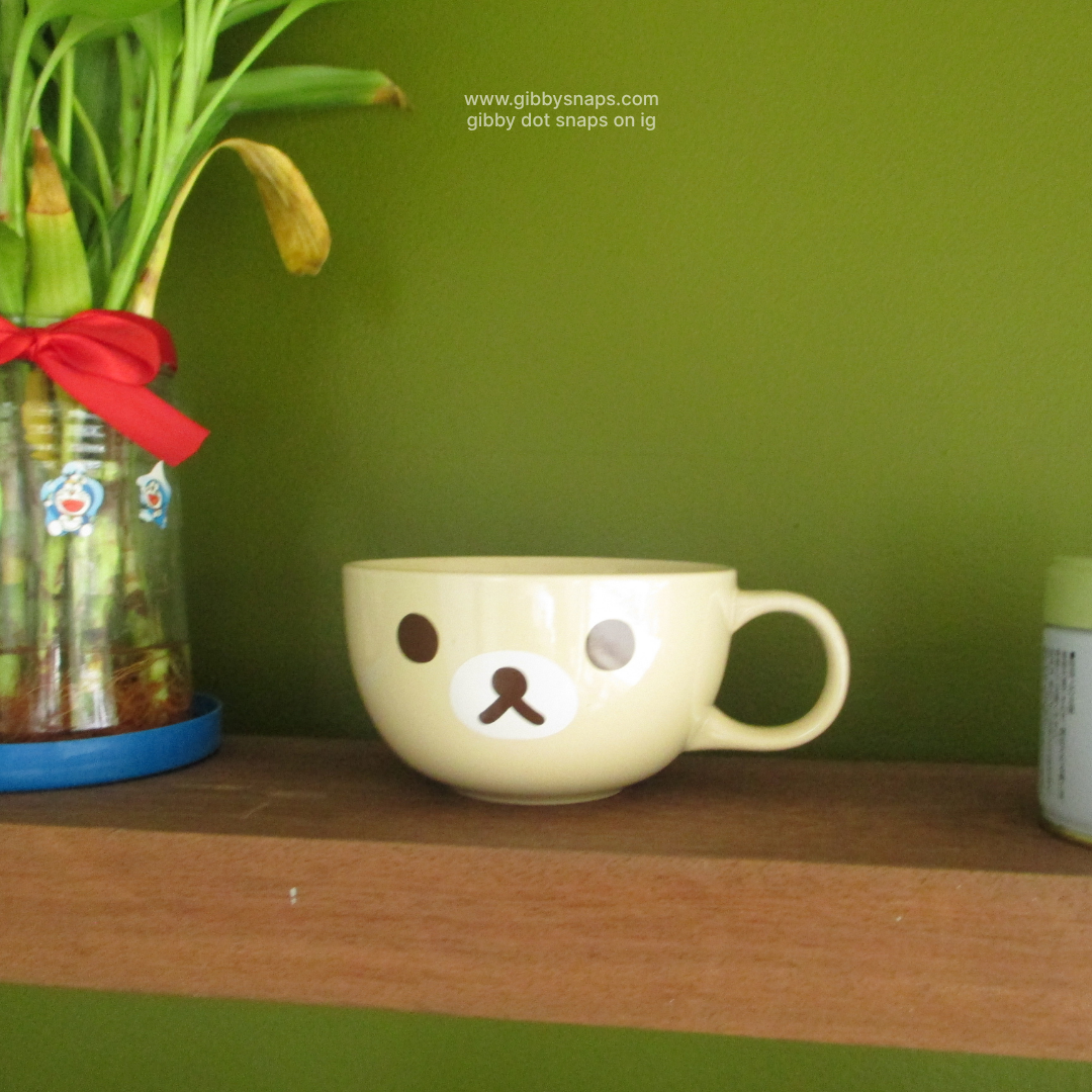 Canon IXY 110F (WIFI) / ELPH 130 IS