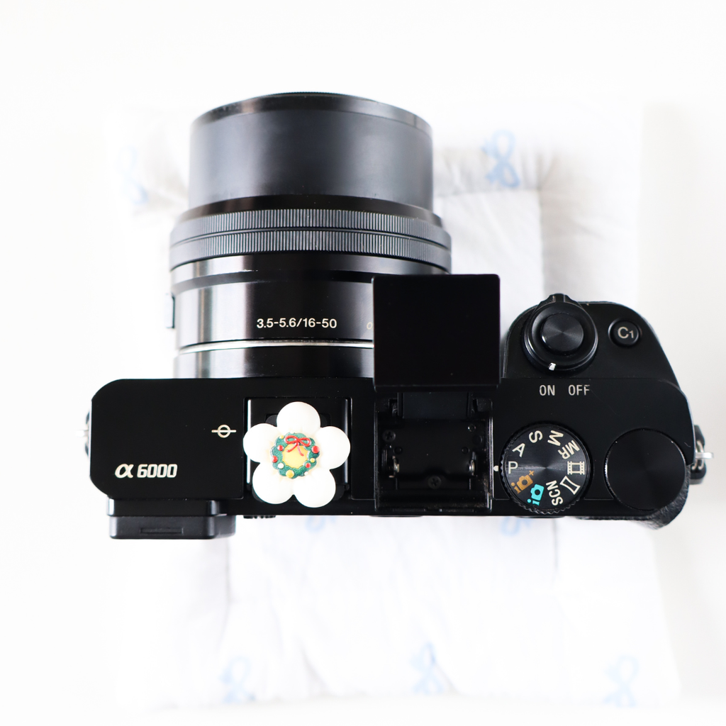 Sony α6000 Mirrorless Camera (Body + 16-50mm Power Zoom Lens + 50mm f/1.8 OSS (Portrait Lens)