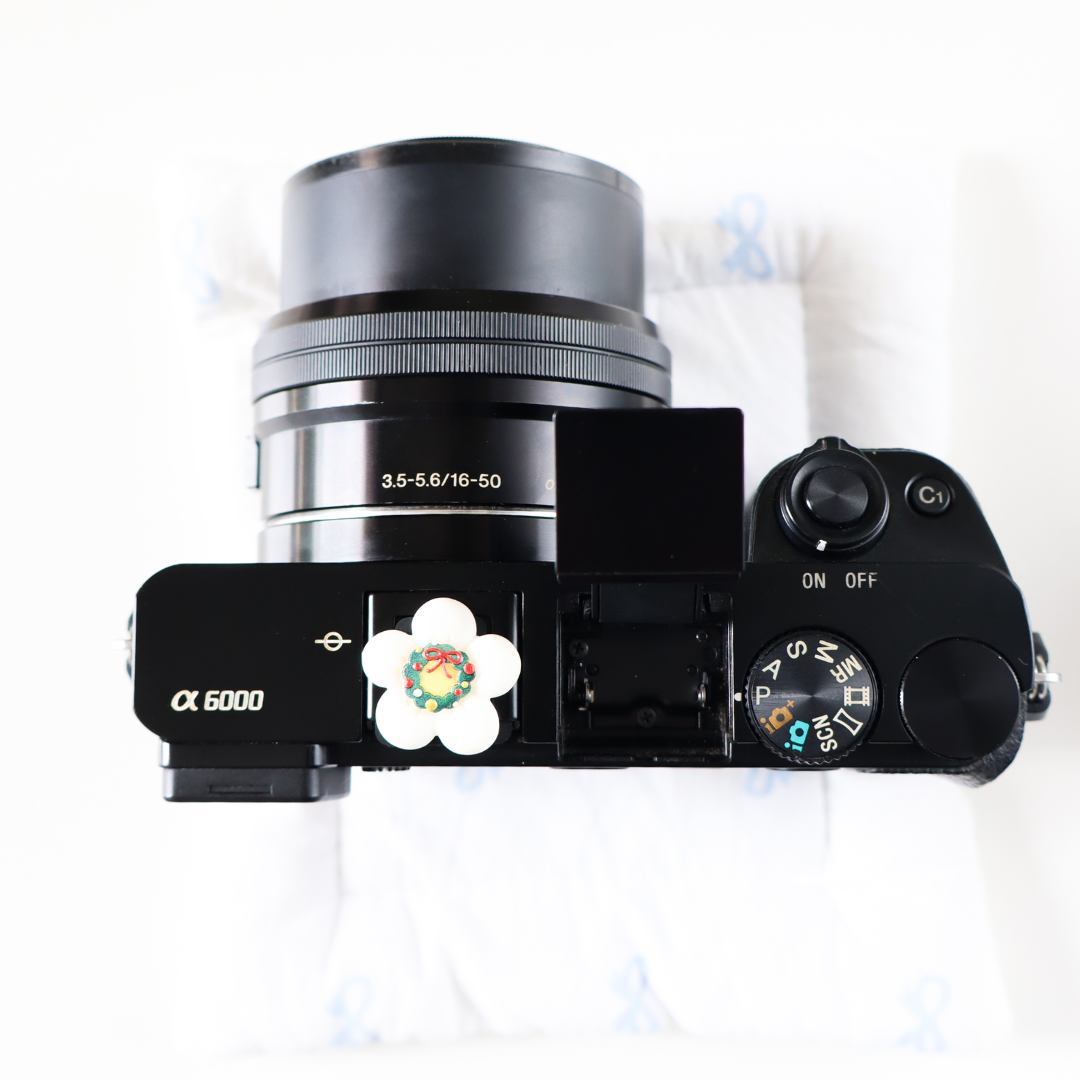 Sony α6000 Mirrorless Camera (Body + 16-50mm Power Zoom Lens + 50mm f/1.8 OSS (Portrait Lens)