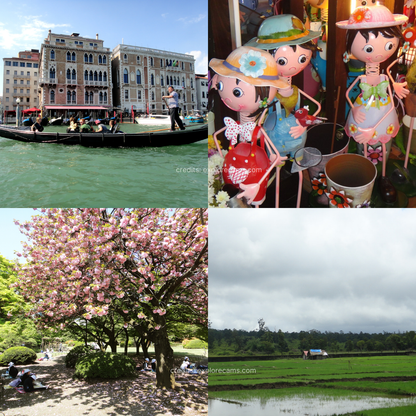 Sony Cybershot DSC-T110D (Limited-Edition Design)