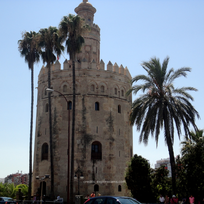 Sony Cybershot DSC-T110D (Limited-Edition Design)