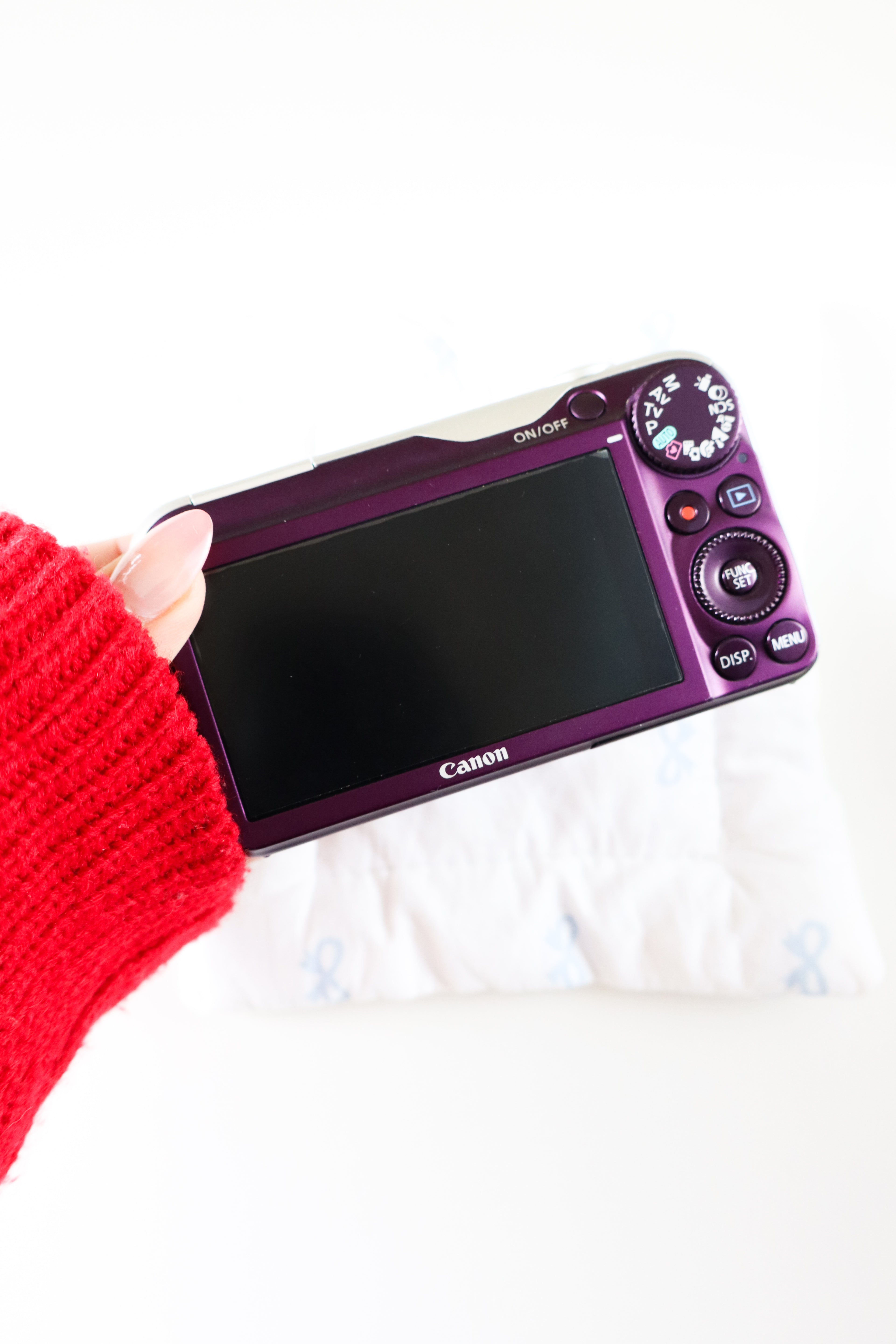 Canon Powershot SX220HS (SALE!)