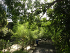 Sony Cybershot WX300