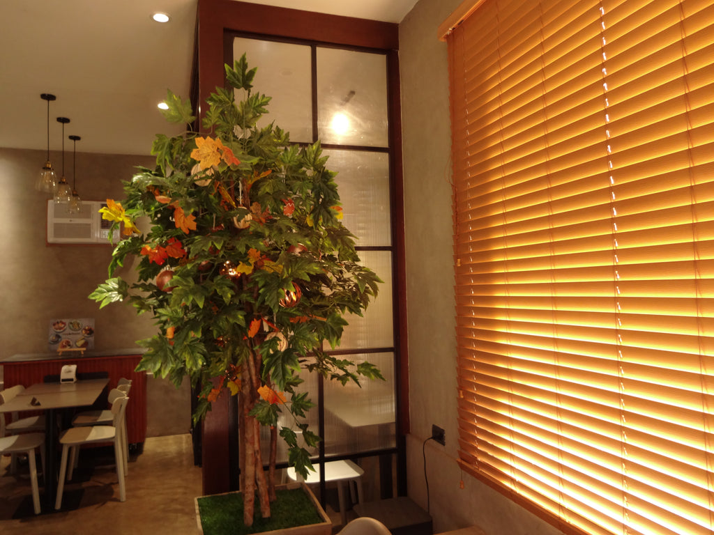 Sony Cybershot WX200