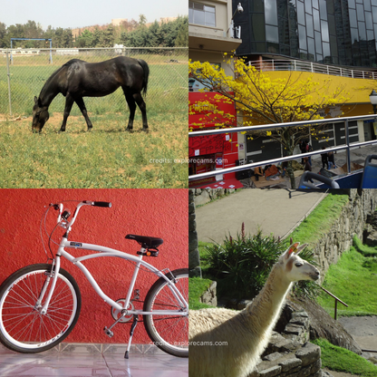 Sony Cybershot DSC-W530