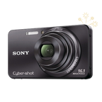 Sony Cybershot DSC-W570 (Black)
