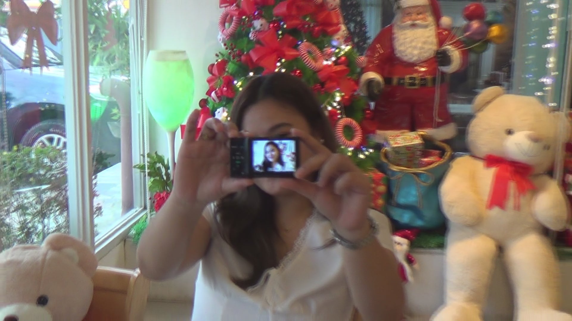 Sony CX390 Handycam