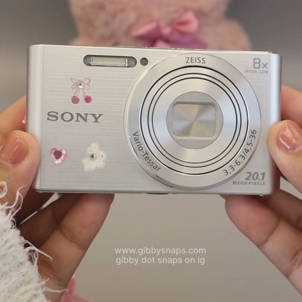 Sony Cybershot DSC-W830