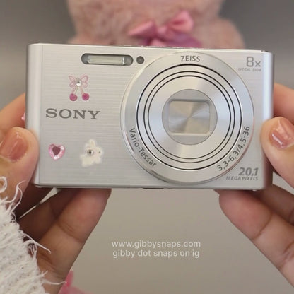 Sony Cybershot DSC-W830