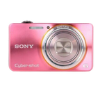 Sony Cybershot WX100 (Pink)